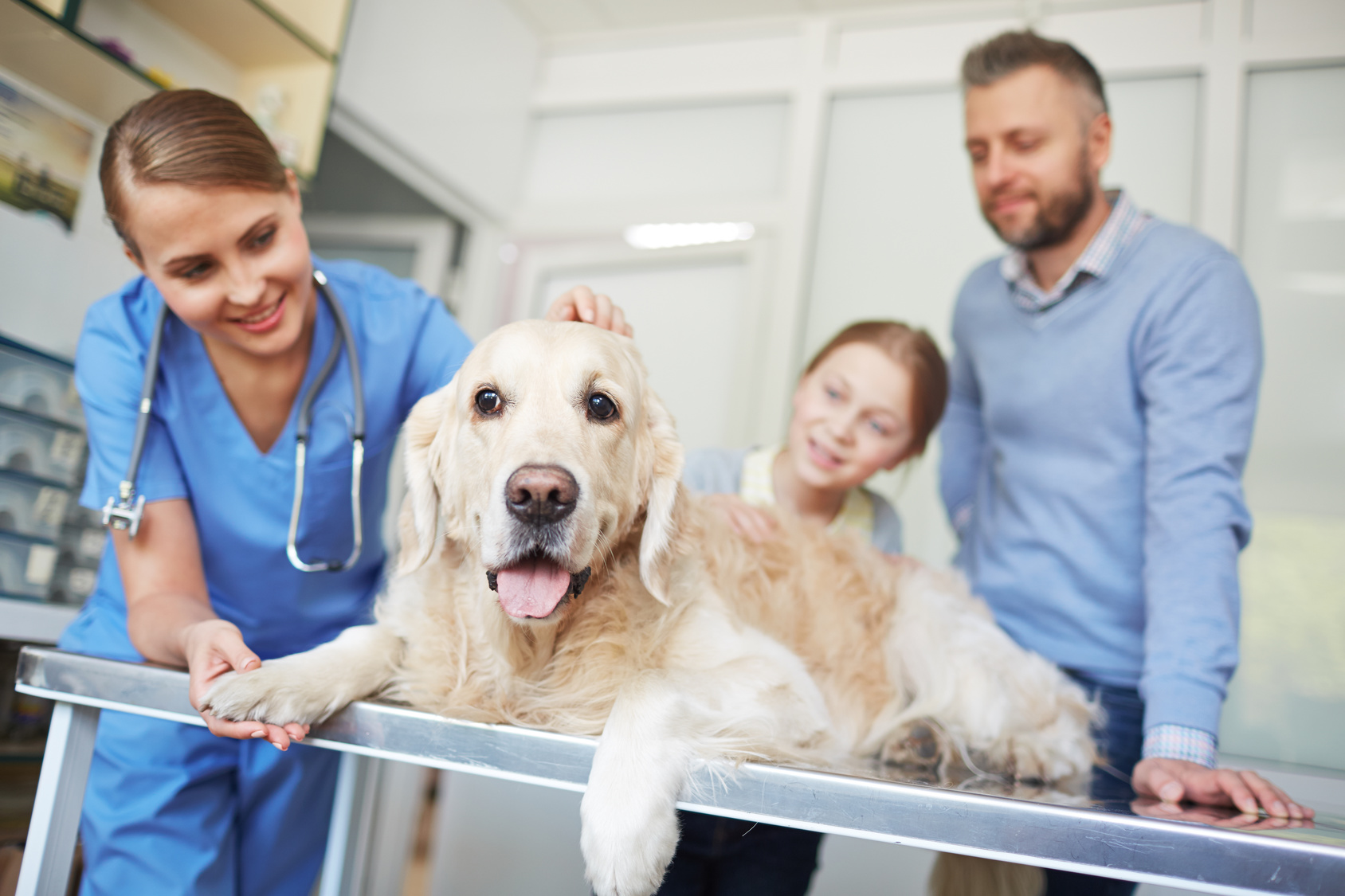 Farmaceutica E Nutraceutica Animale Sbocchi Lavorativi Giornata Mondiale degli Animali: quali sono gli sbocchi lavorativi per