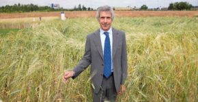 barilla investe in sostenibilità