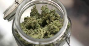 acqua gassata alla cannabis