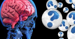 Il cervello apprende e gli occhi lo dimostrano